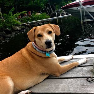 Meet your Posher, Marissa